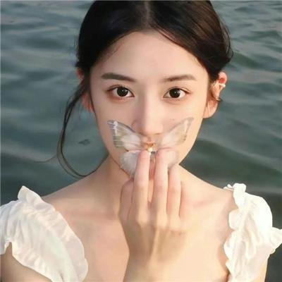 呆子2