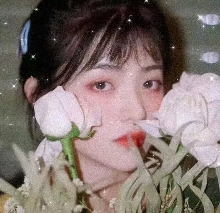 闪烁的爱情